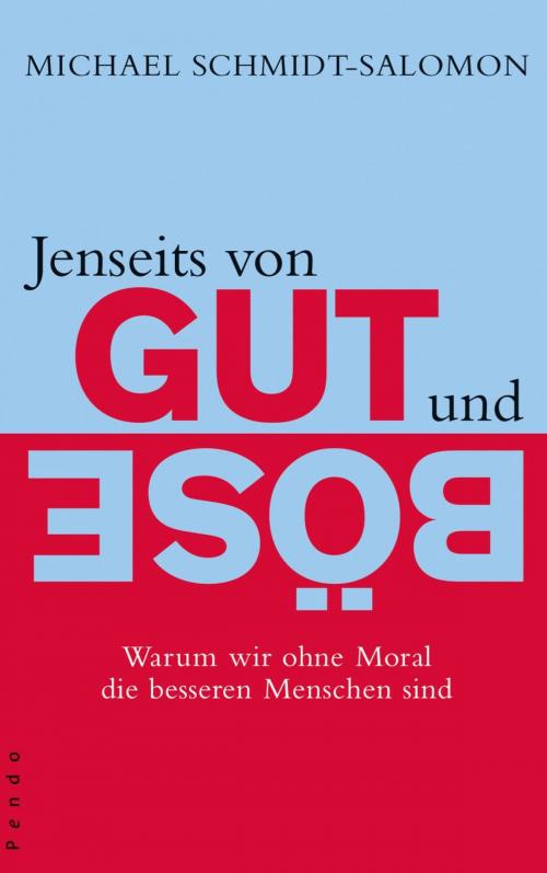 Cover of the book Jenseits von Gut und Böse by Michael Schmidt-Salomon, Piper ebooks