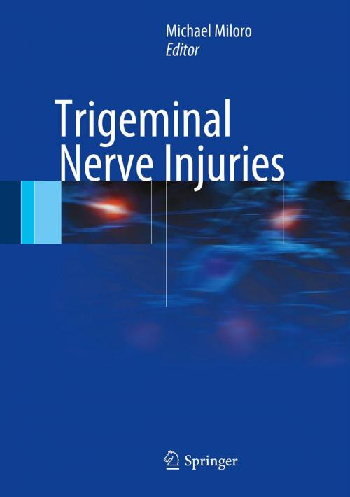 Cover of the book Trigeminal Nerve Injuries by , Springer Berlin Heidelberg