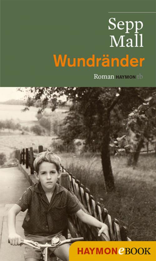 Cover of the book Wundränder by Sepp Mall, Haymon Verlag
