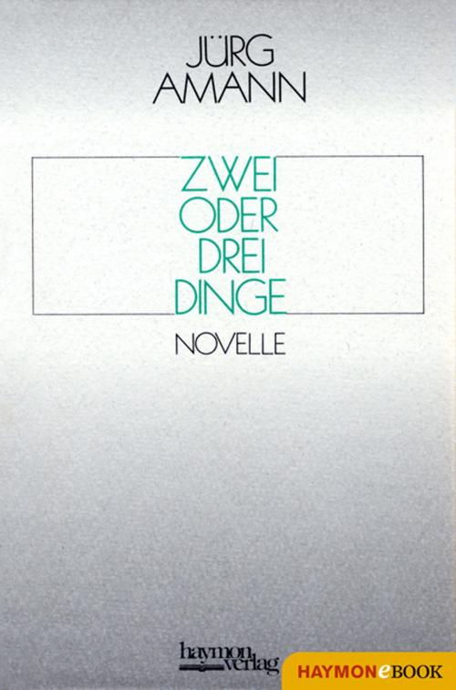 Cover of the book Zwei oder drei Dinge by Jürg Amann, Haymon Verlag