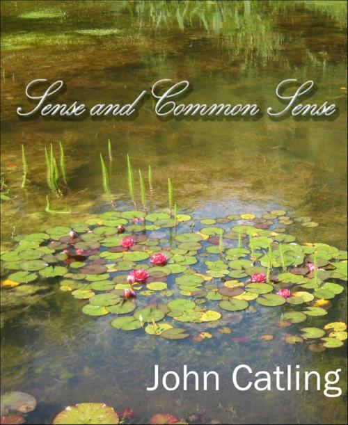 Cover of the book Sense and Common Sense by John Catling, BookRix
