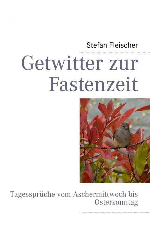 Cover of the book Getwitter zur Fastenzeit by Stefan Fleischer, Books on Demand