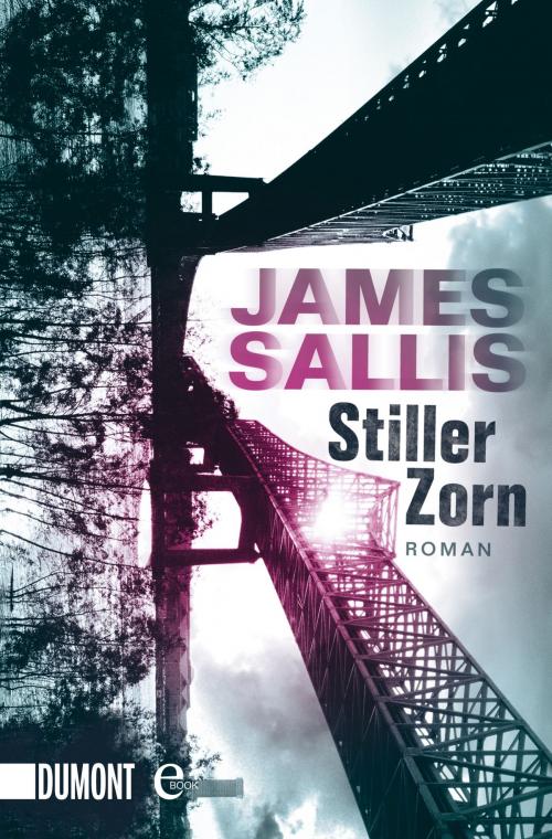 Cover of the book Stiller Zorn by James Sallis, DuMont Buchverlag
