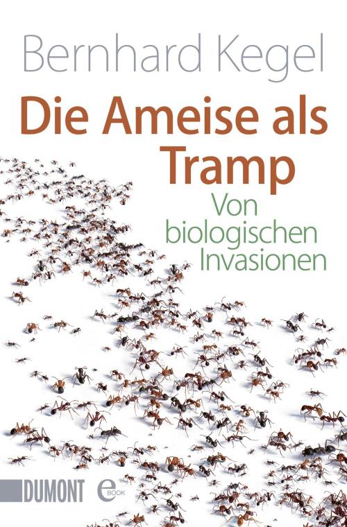 Cover of the book Die Ameise als Tramp by Bernhard Kegel, DUMONT Buchverlag