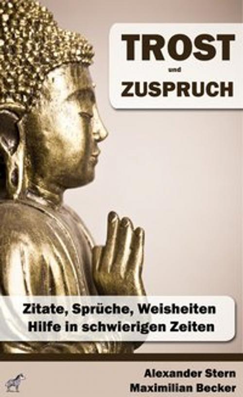 Cover of the book Trost und Zuspruch by Alexander Stern, Maximilian Becker, Zebrabuch