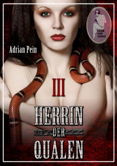 Cover of the book Herrin der Qualen 3 by Adrian Pein, Club der Sinne