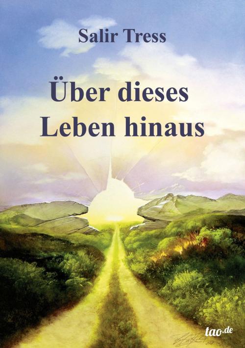 Cover of the book Über dieses Leben hinaus by Salir Tress, tao.de