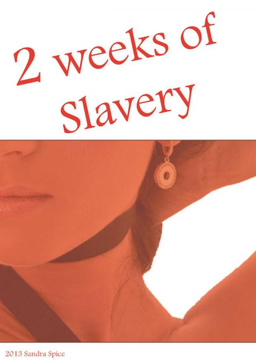 Cover of the book 2 weeks of slavery by Sandra Spice, Adult Stories International