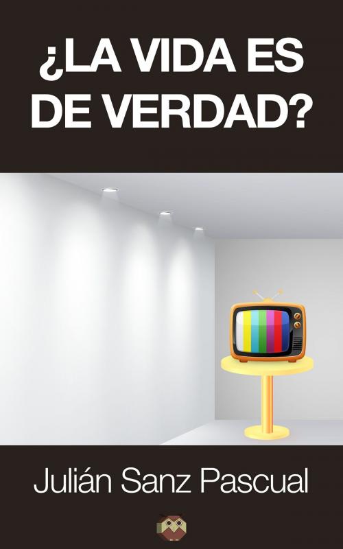 Cover of the book ¿La vida es de verdad? by Julián Sanz Pascual, Editorial Amarante
