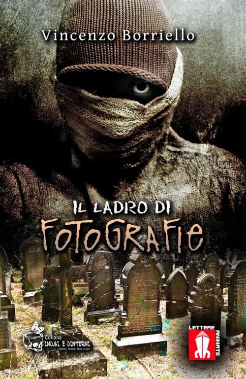 Cover of the book Il ladro di fotografie by Vincenzo Borriello, Lettere Animate Editore