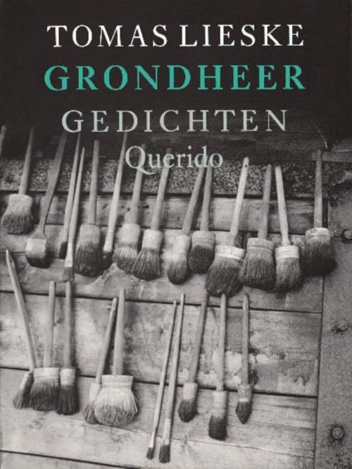 Cover of the book Grondheer by Tomas Lieske, Singel Uitgeverijen
