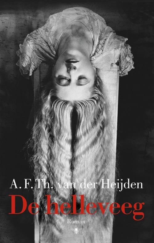 Cover of the book De helleveeg by A.F.Th. van der Heijden, Singel Uitgeverijen