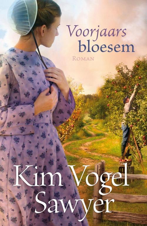 Cover of the book Voorjaarsbloesem by Kim Vogel Sawyer, VBK Media
