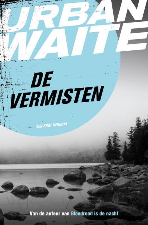 Cover of the book De vermisten by Urban Waite, Bruna Uitgevers B.V., A.W.
