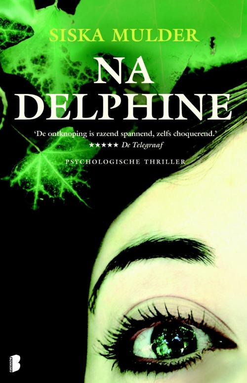 Cover of the book Na Delphine by Siska Mulder, Meulenhoff Boekerij B.V.