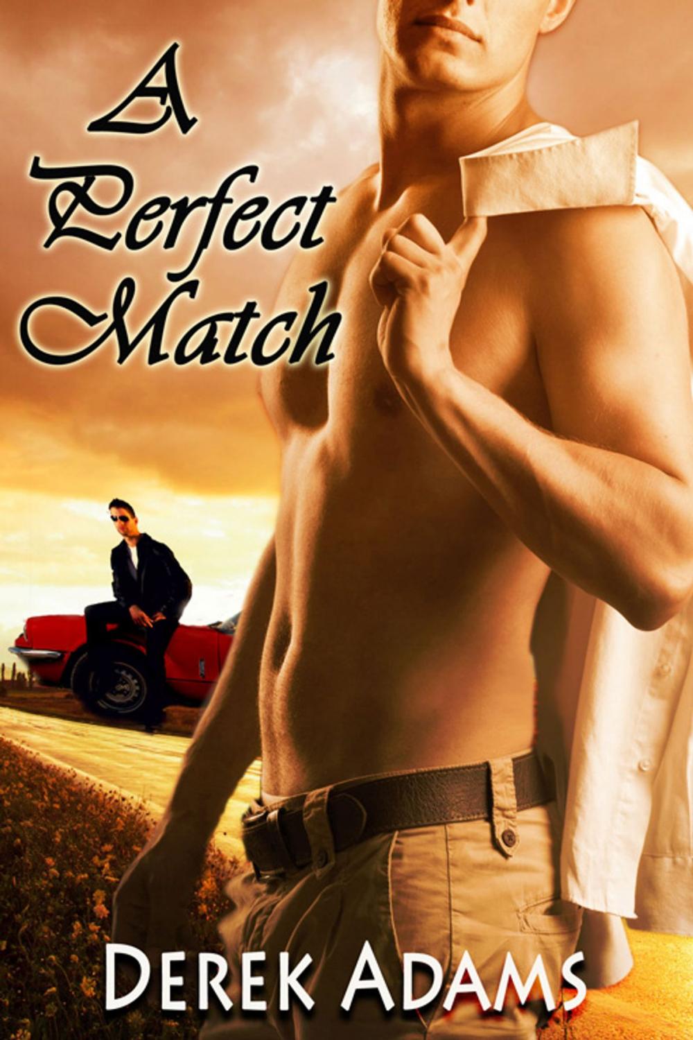 Big bigCover of A Perfect Match