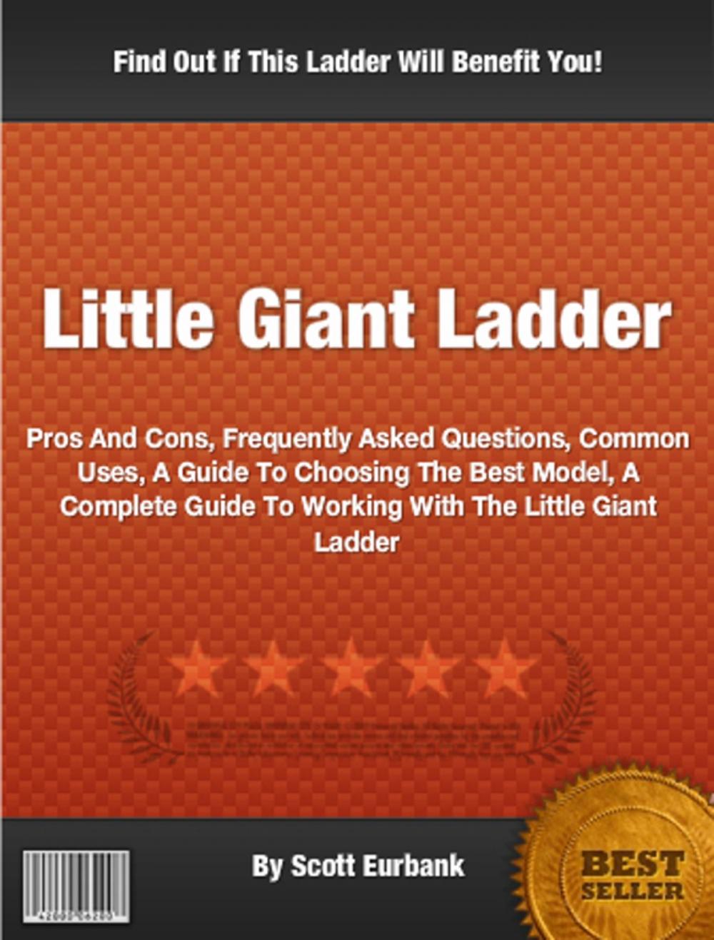 Big bigCover of Little Giant Ladder