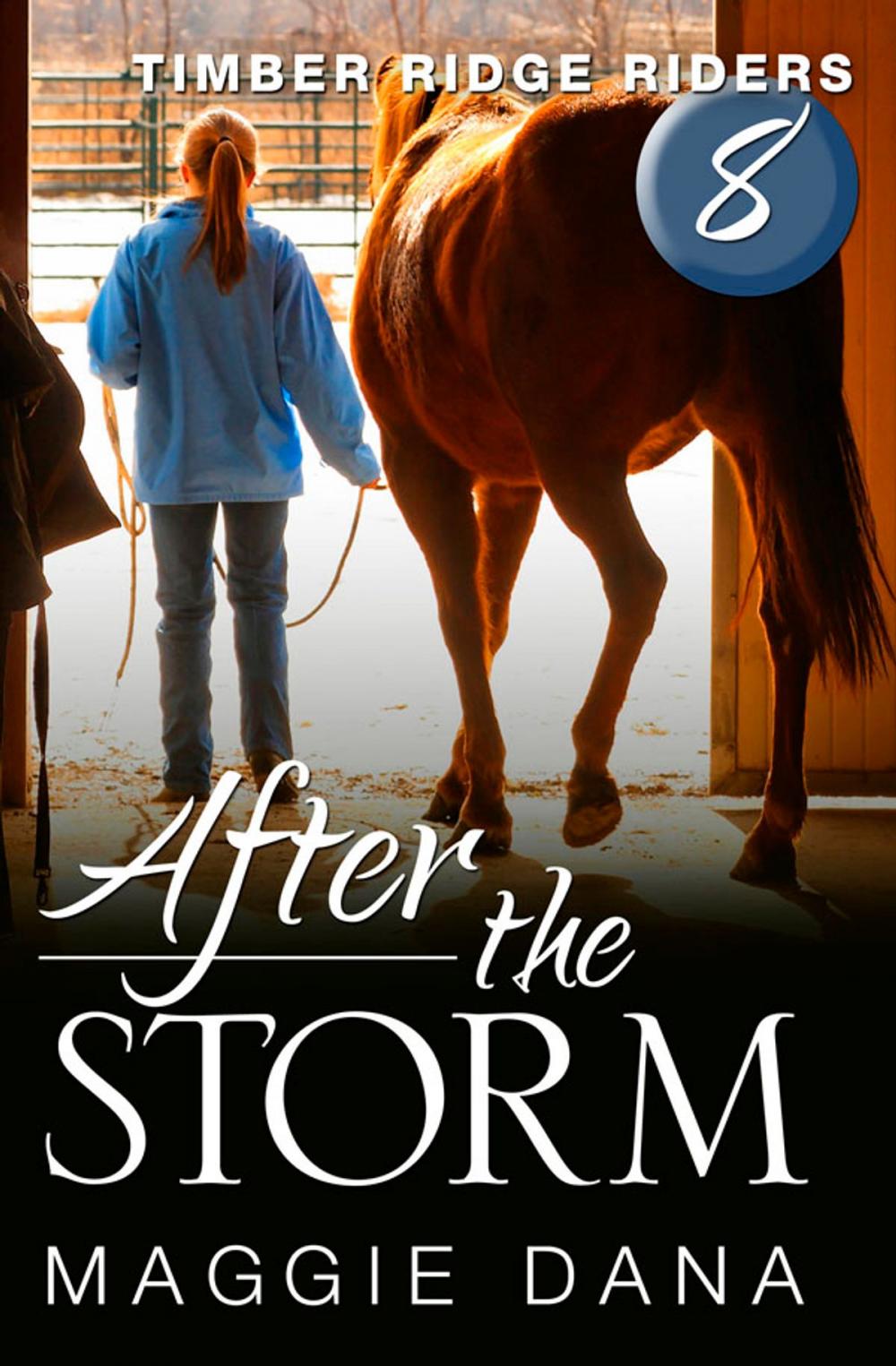 Big bigCover of After the Storm