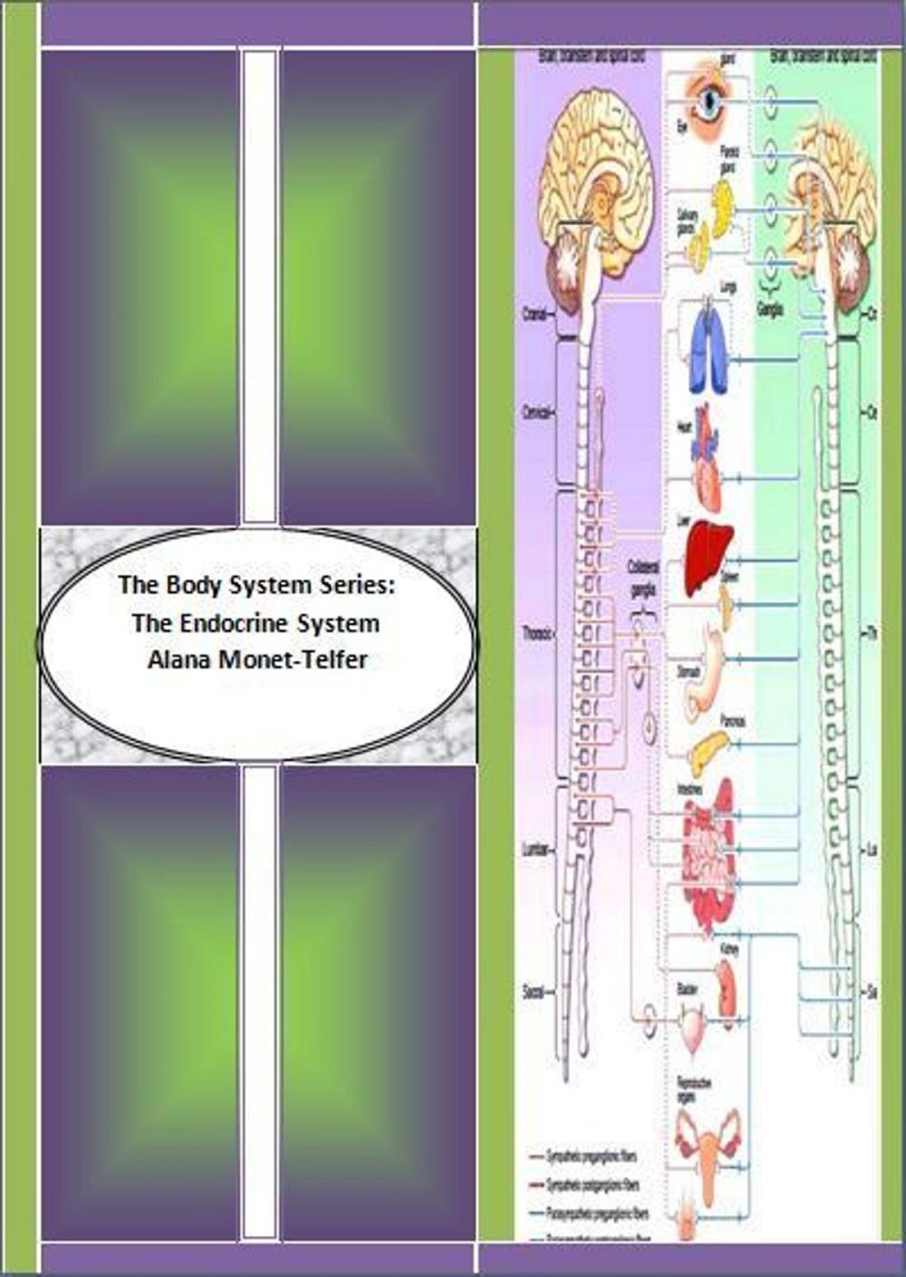 Big bigCover of The Body System Series: The Endocrine System and its Functions