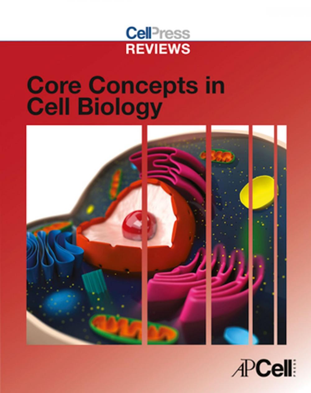 Big bigCover of Cell Press Reviews: Core Concepts in Cell Biology