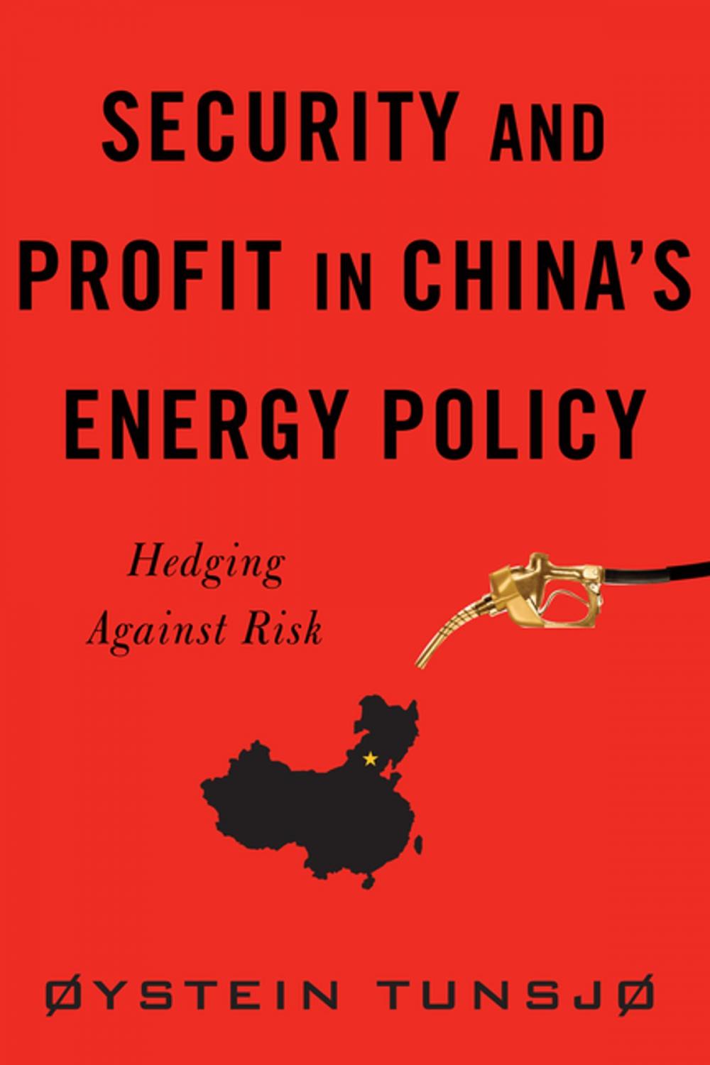 Big bigCover of Security and Profit in China’s Energy Policy