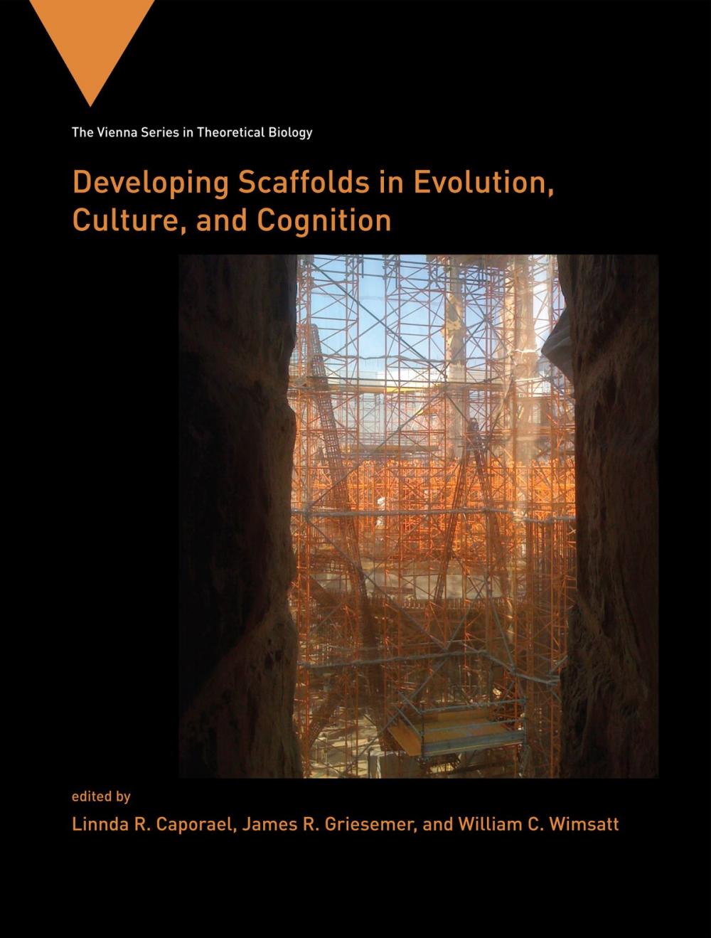 Big bigCover of Developing Scaffolds in Evolution, Culture, and Cognition