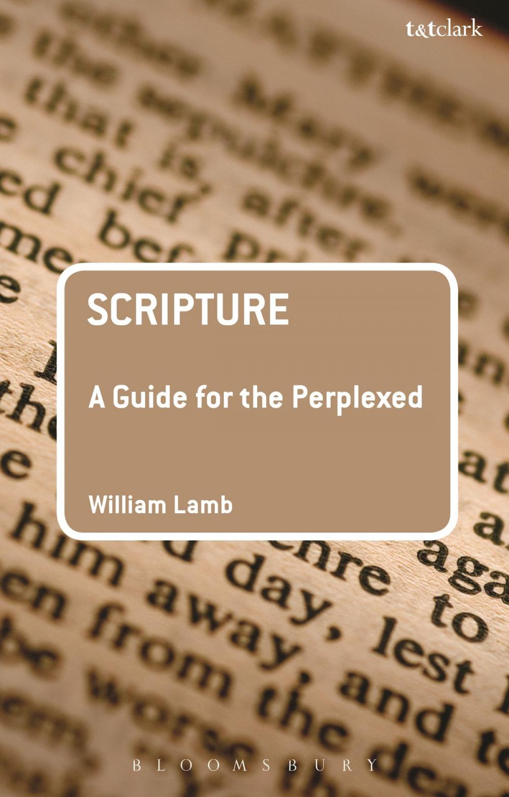 Big bigCover of Scripture: A Guide for the Perplexed