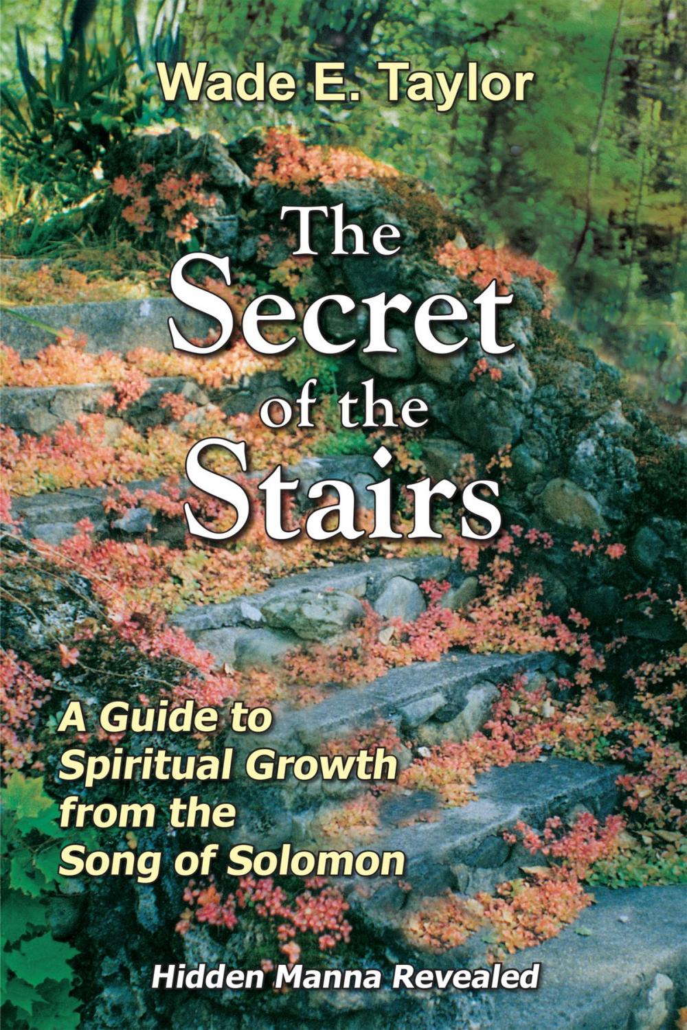 Big bigCover of The Secret of the Stairs