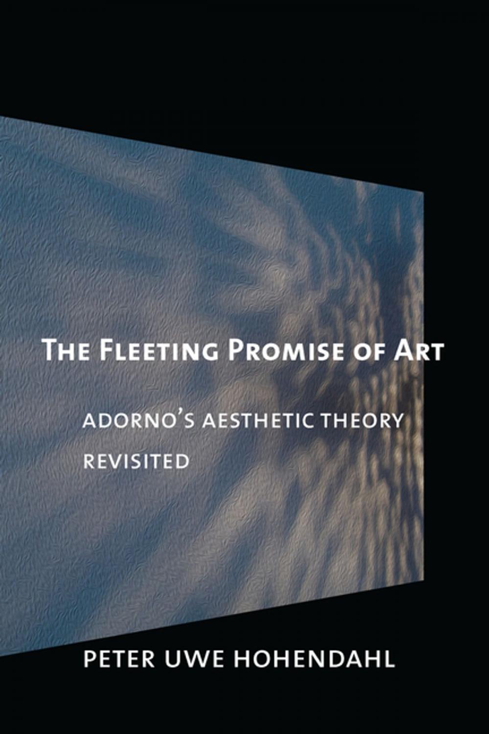 Big bigCover of The Fleeting Promise of Art