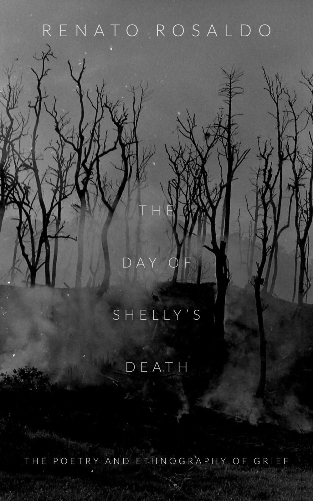 Big bigCover of The Day of Shelly's Death
