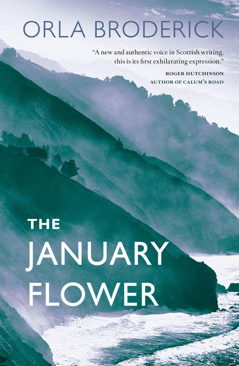 Big bigCover of The January Flower