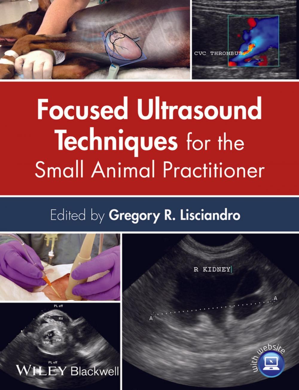 Big bigCover of Focused Ultrasound Techniques for the Small Animal Practitioner