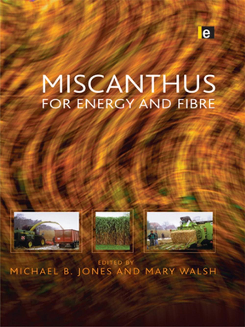 Big bigCover of Miscanthus