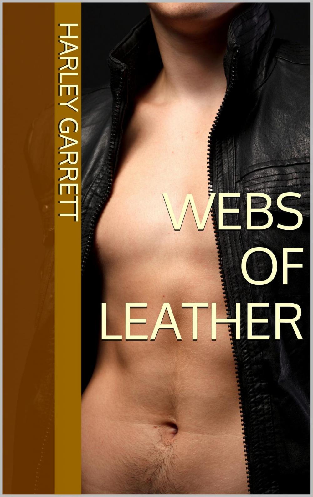 Big bigCover of Webs of Leather