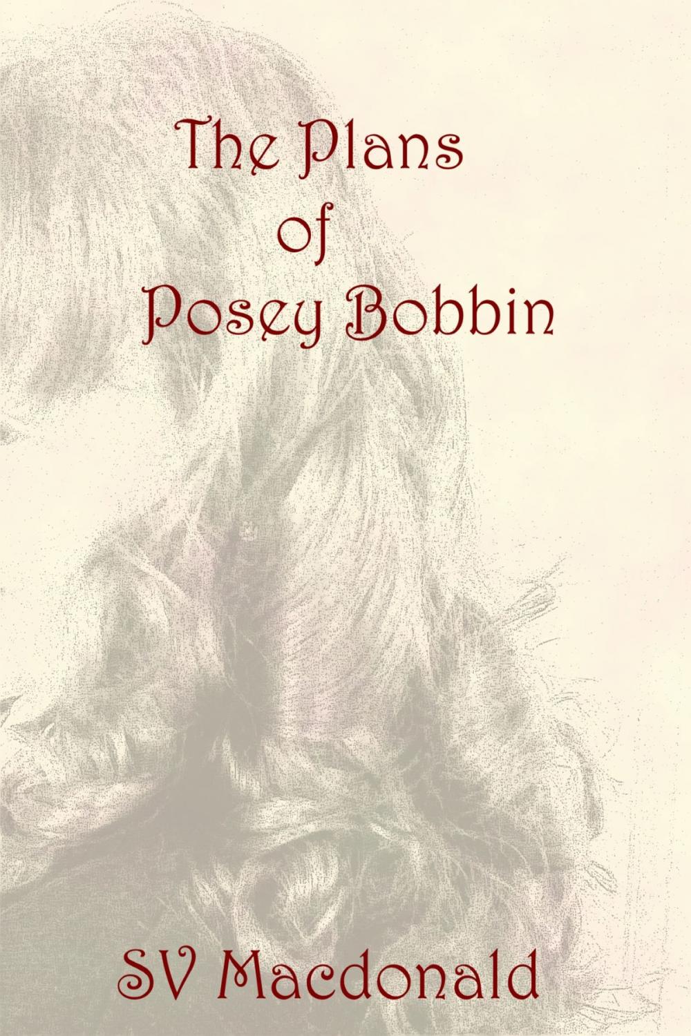 Big bigCover of The Plans Of Posey Bobbin