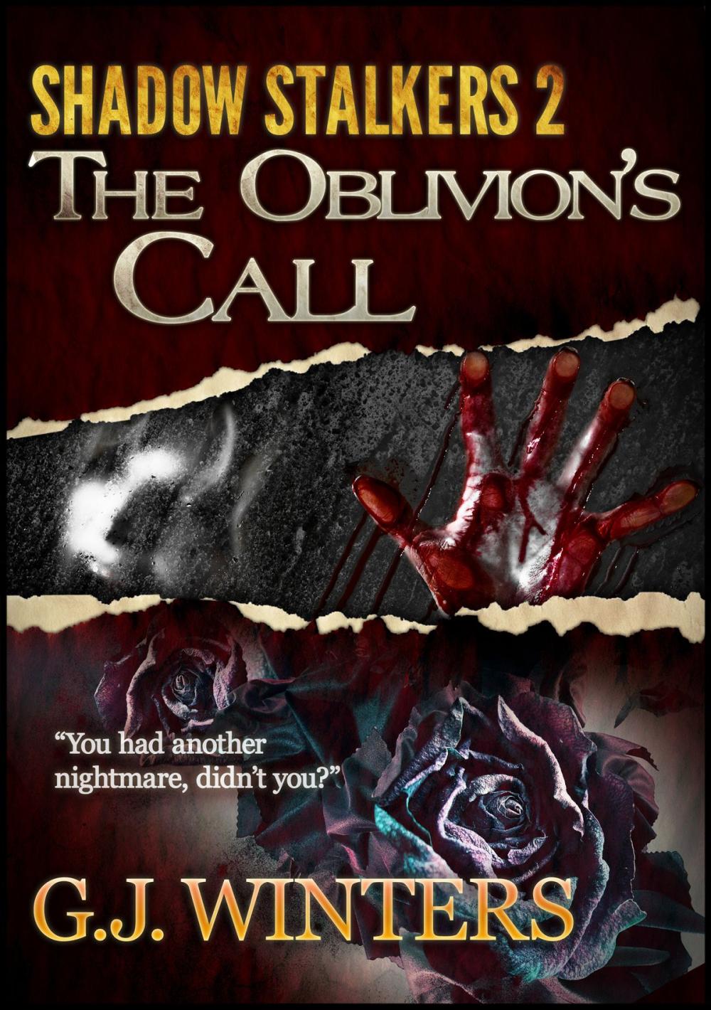 Big bigCover of The Oblivion's Call: Shadow Stalkers 2