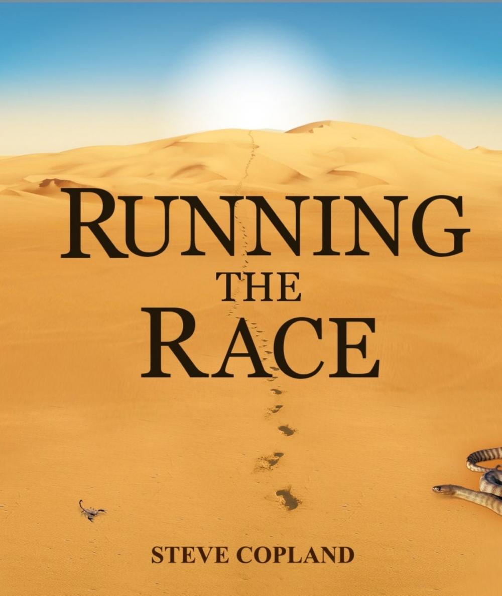 Big bigCover of Running The Race