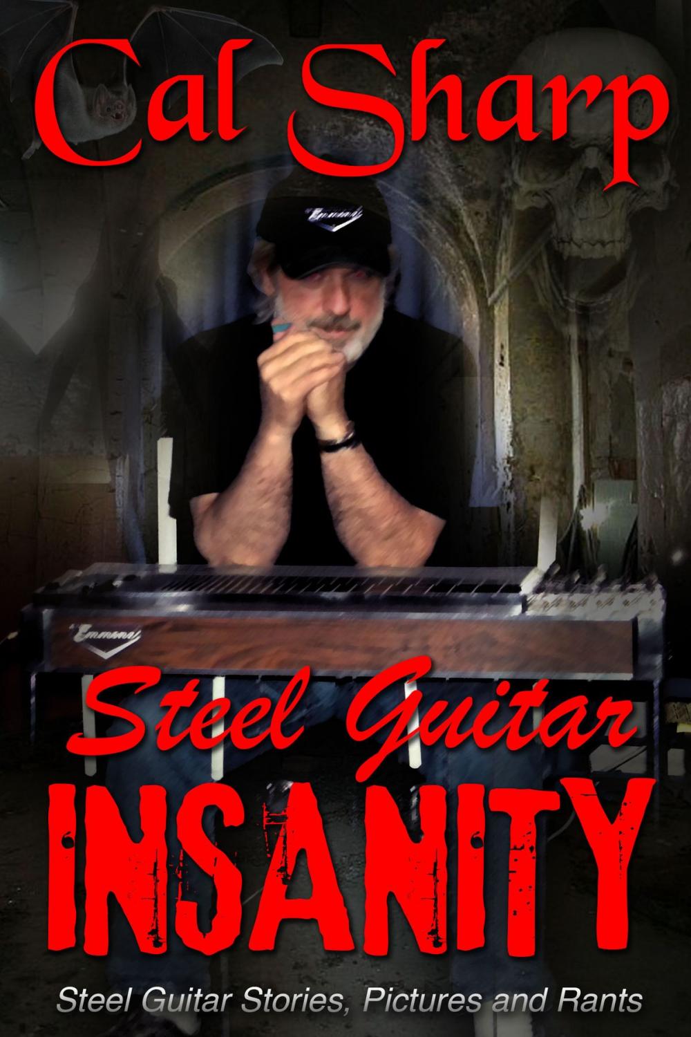 Big bigCover of Steel Guitar Insanity