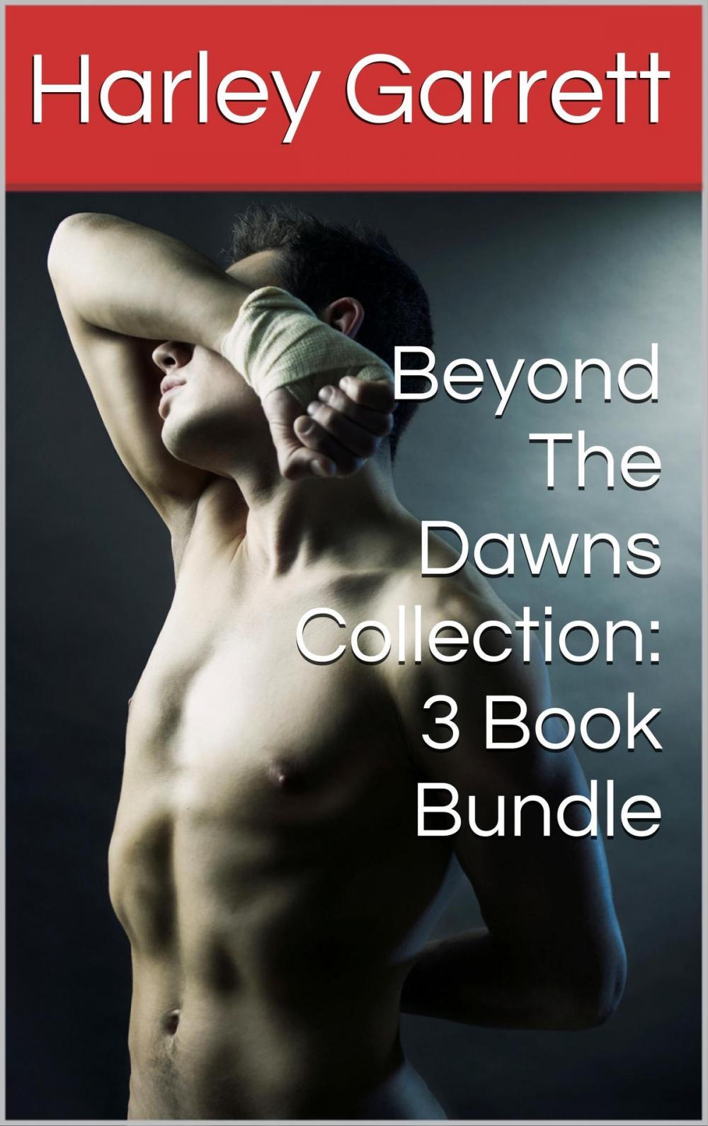 Big bigCover of Beyond The Dawns Collection: Three Book Bundle