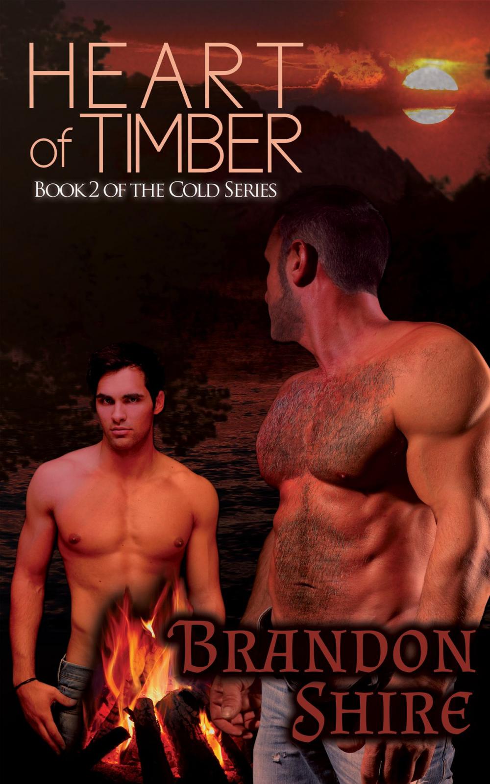Big bigCover of Heart of Timber (Gay Romance)