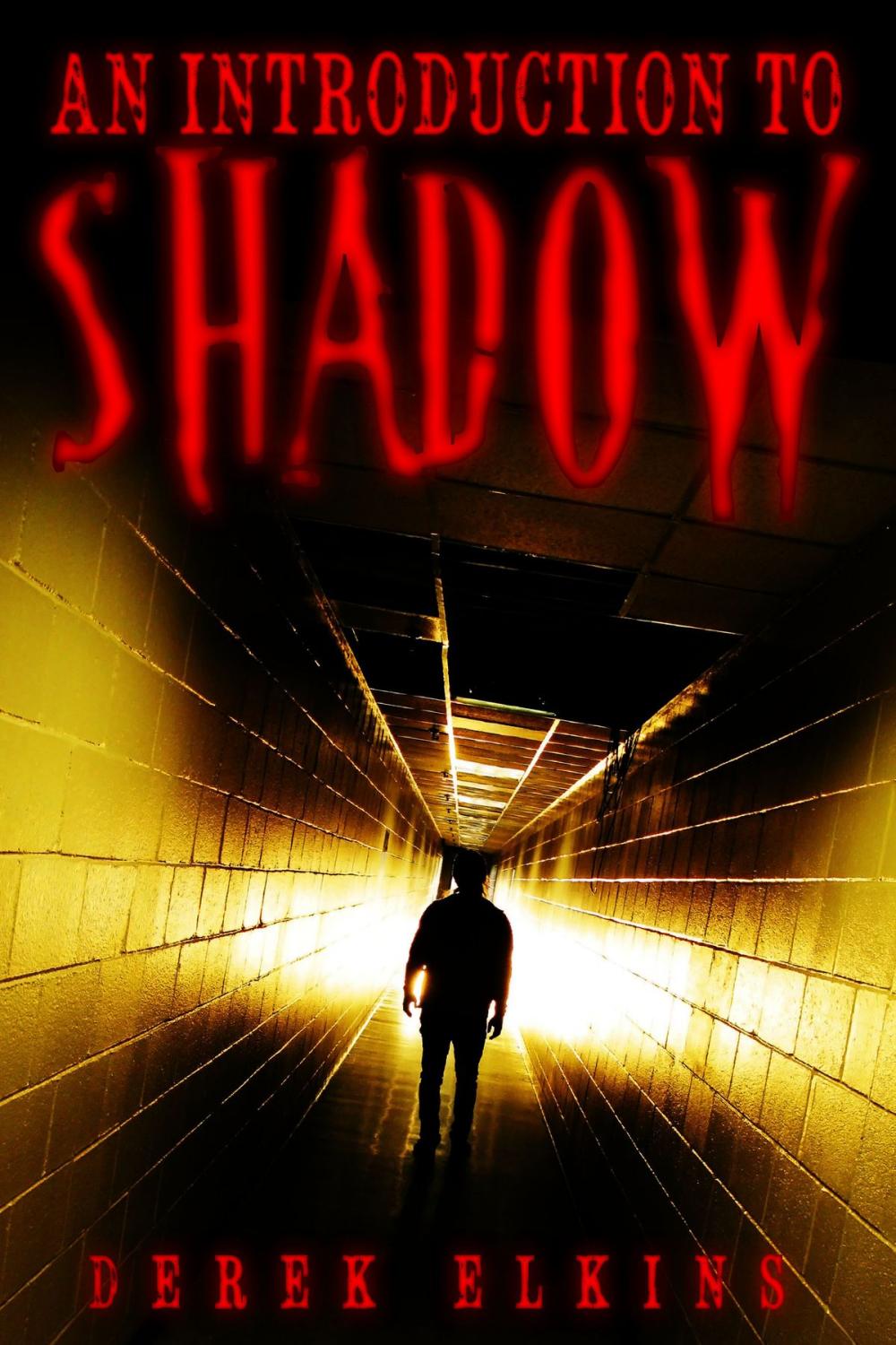 Big bigCover of An Introduction to Shadow