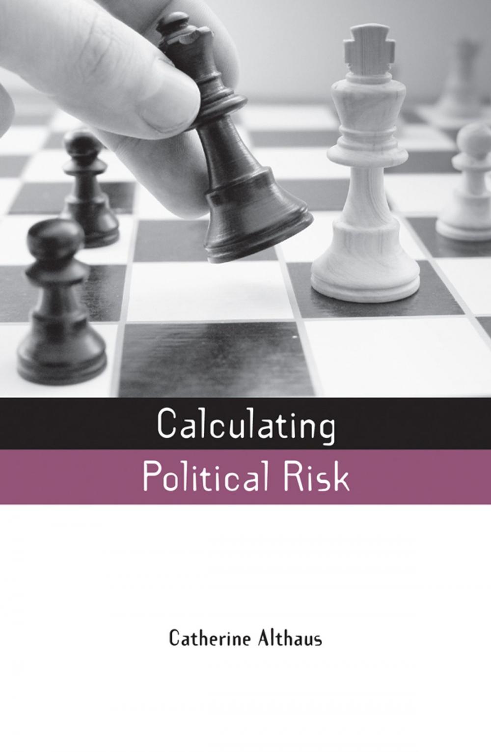Big bigCover of Calculating Political Risk