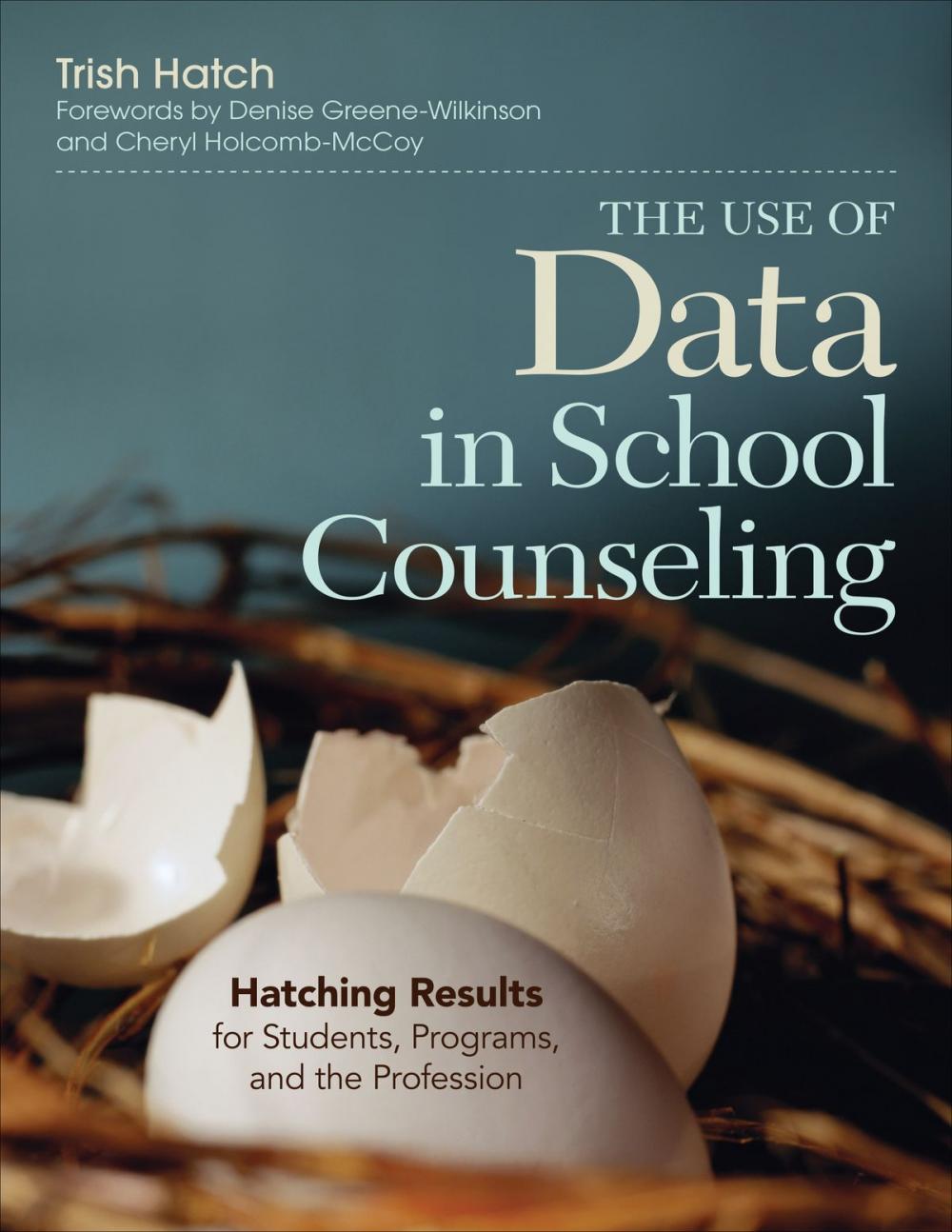 Big bigCover of The Use of Data in School Counseling