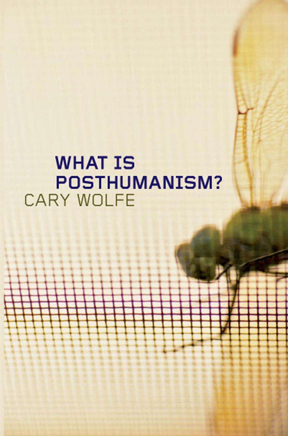 Big bigCover of What Is Posthumanism?