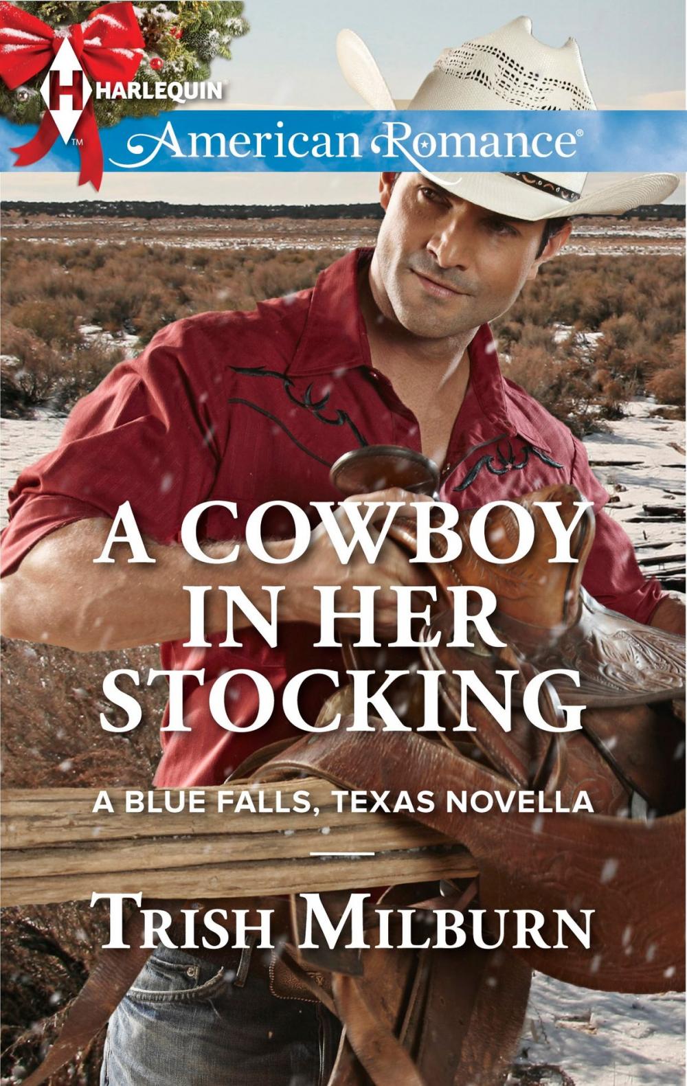 Big bigCover of A Cowboy in Her Stocking