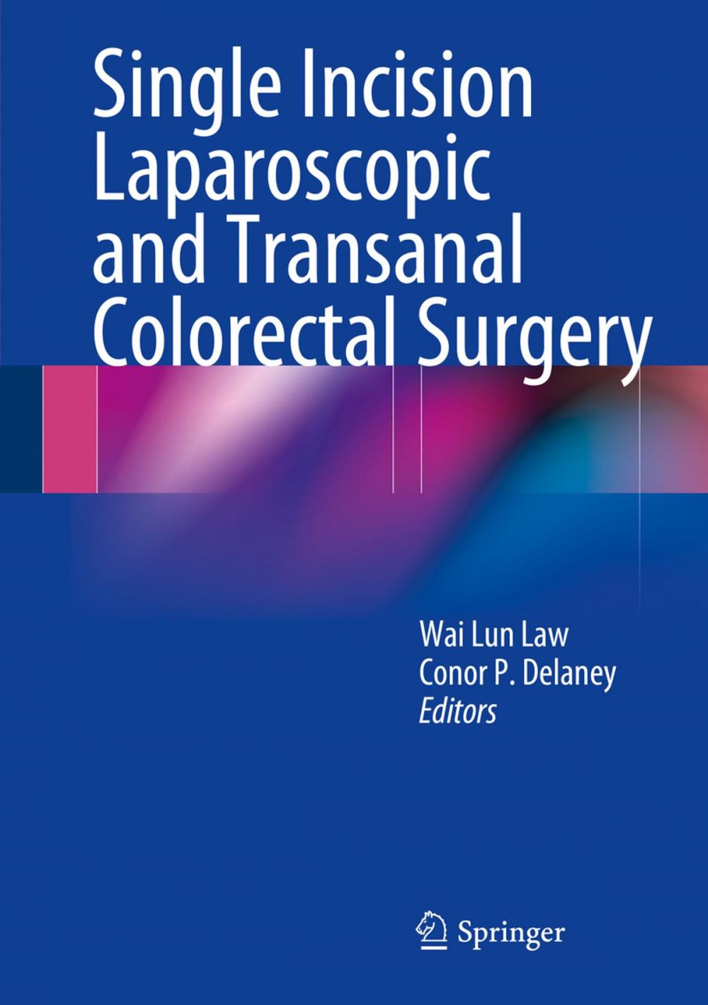 Big bigCover of Single Incision Laparoscopic and Transanal Colorectal Surgery