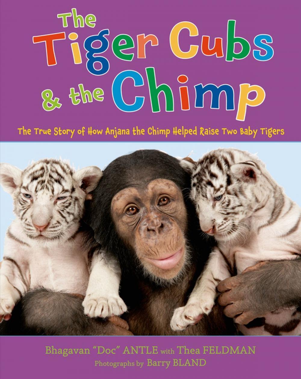 Big bigCover of The Tiger Cubs and the Chimp