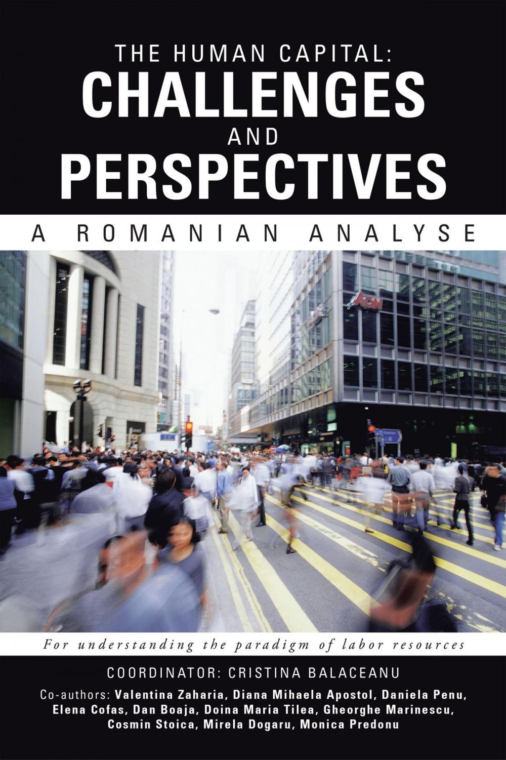 Big bigCover of The Human Capital: Challenges and Perspectives