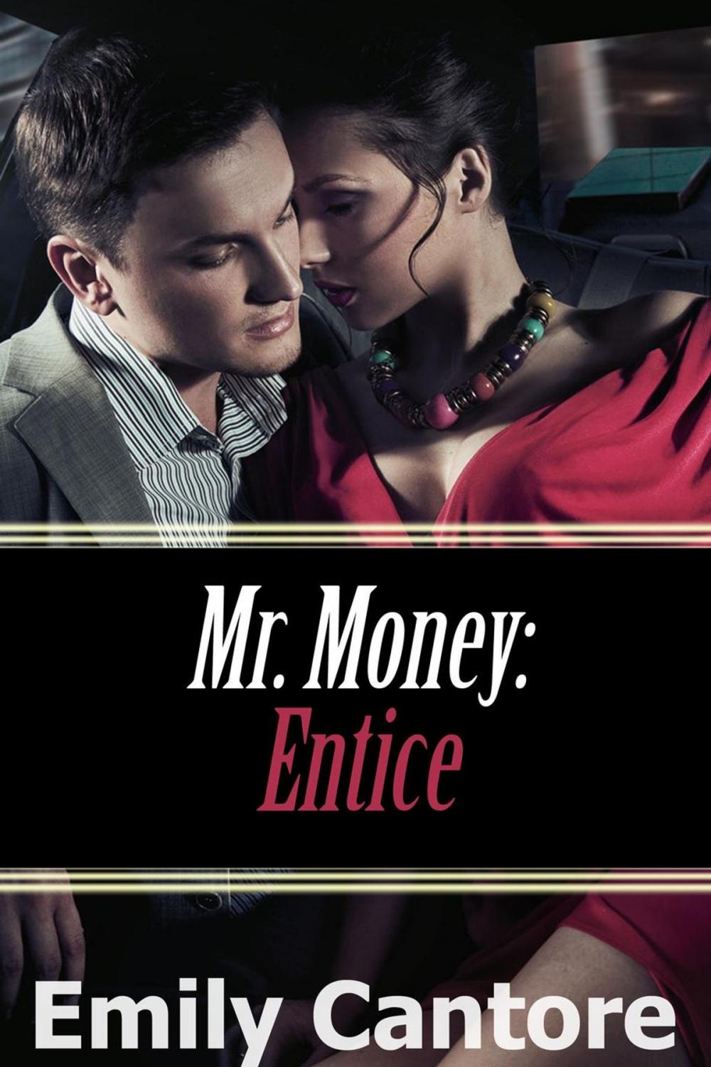 Big bigCover of Entice: Mr. Money