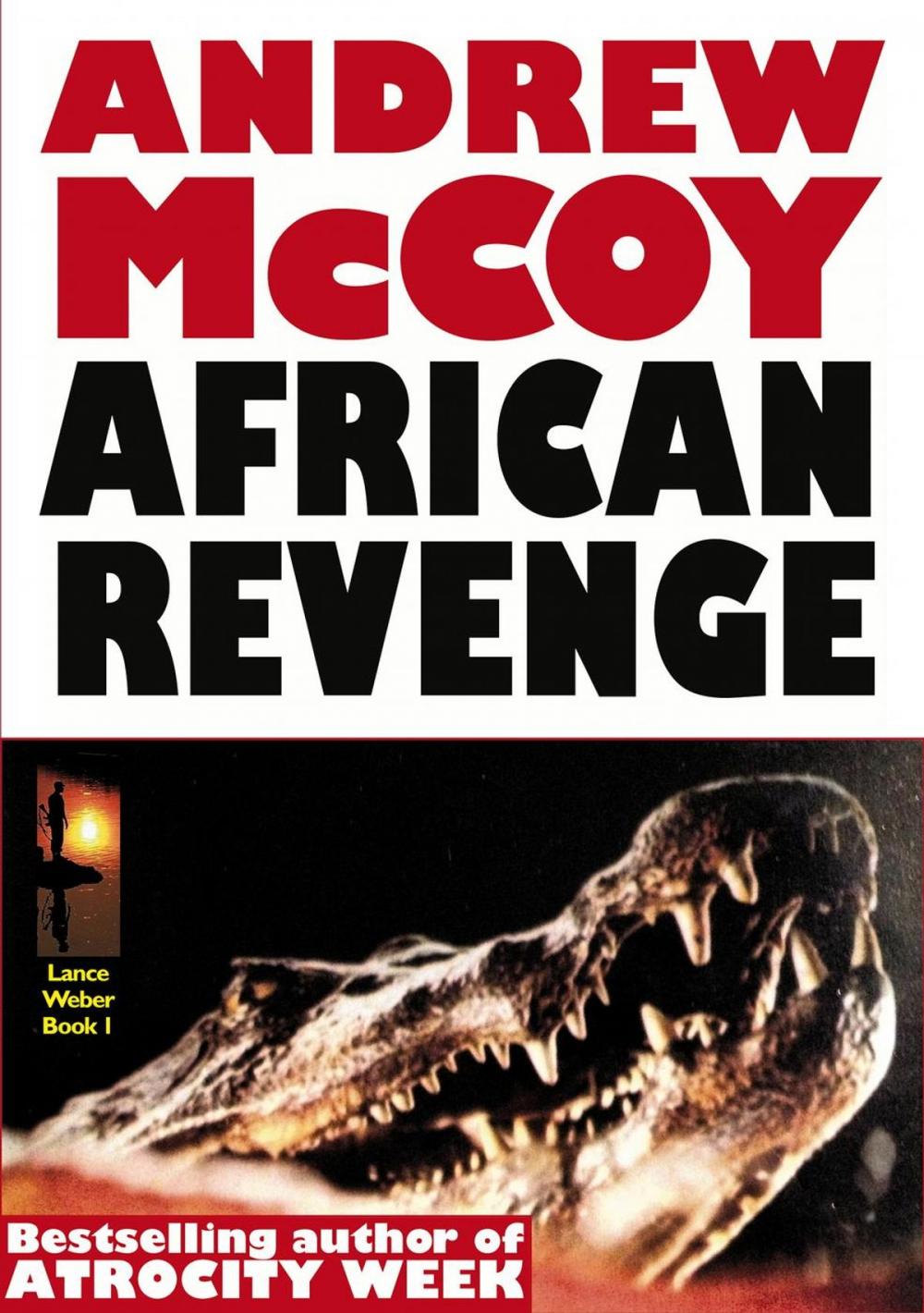 Big bigCover of African Revenge